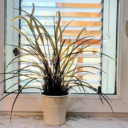 Apartamento Lana & Petra