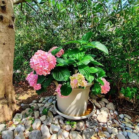 Apartamento Lana & Petra Kaštela